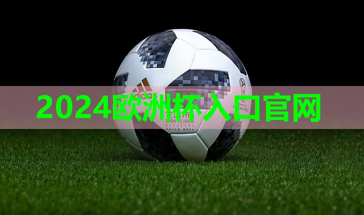 ⚽️2024欧洲杯网站⚽️：硅pu球场图片高清