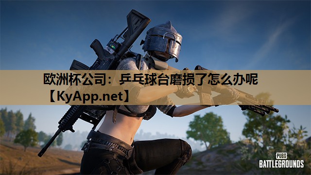 欧洲杯公司：乒乓球台磨损了怎么办呢