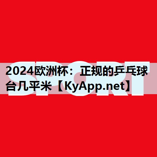 2024欧洲杯：正规的乒乓球台几平米