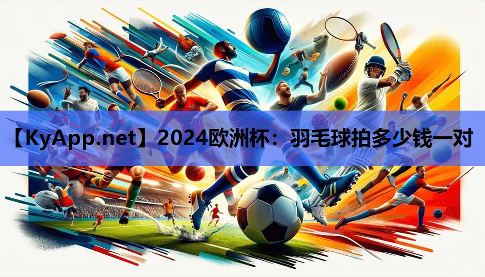 2024欧洲杯：羽毛球拍多少钱一对