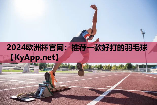 2024欧洲杯官网：推荐一款好打的羽毛球